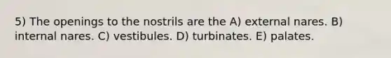 5) The openings to the nostrils are the A) external nares. B) internal nares. C) vestibules. D) turbinates. E) palates.