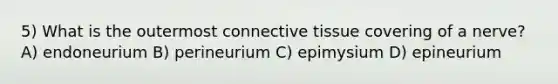 5) What is the outermost <a href='https://www.questionai.com/knowledge/kYDr0DHyc8-connective-tissue' class='anchor-knowledge'>connective tissue</a> covering of a nerve? A) endoneurium B) perineurium C) epimysium D) epineurium