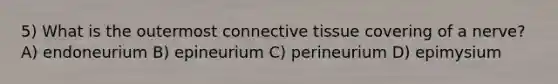 5) What is the outermost connective tissue covering of a nerve? A) endoneurium B) epineurium C) perineurium D) epimysium