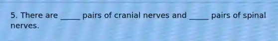 5. There are _____ pairs of cranial nerves and _____ pairs of spinal nerves.