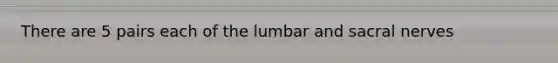 There are 5 pairs each of the lumbar and sacral nerves