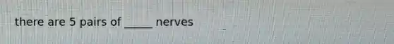 there are 5 pairs of _____ nerves