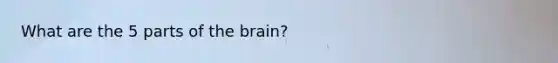 What are the 5 parts of the brain?