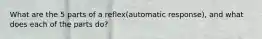 What are the 5 parts of a reflex(automatic response), and what does each of the parts do?