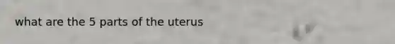 what are the 5 parts of the uterus