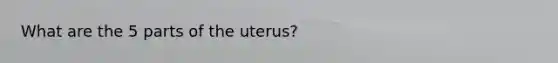 What are the 5 parts of the uterus?