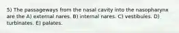 5) The passageways from the nasal cavity into the nasopharynx are the A) external nares. B) internal nares. C) vestibules. D) turbinates. E) palates.