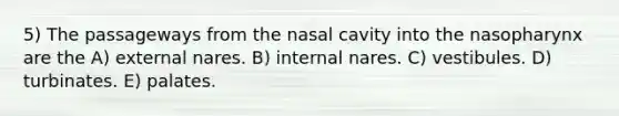 5) The passageways from the nasal cavity into the nasopharynx are the A) external nares. B) internal nares. C) vestibules. D) turbinates. E) palates.