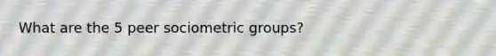 What are the 5 peer sociometric groups?