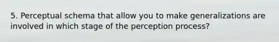 5. Perceptual schema that allow you to make generalizations are involved in which stage of the perception process?