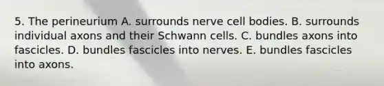 5. The perineurium A. surrounds nerve cell bodies. B. surrounds individual axons and their Schwann cells. C. bundles axons into fascicles. D. bundles fascicles into nerves. E. bundles fascicles into axons.