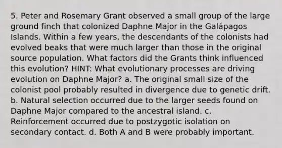 5. Peter and Rosemary Grant observed a small group of the large ground finch that colonized Daphne Major in the Galápagos Islands. Within a few years, the descendants of the colonists had evolved beaks that were much larger than those in the original source population. What factors did the Grants think influenced this evolution? HINT: What evolutionary processes are driving evolution on Daphne Major? a. The original small size of the colonist pool probably resulted in divergence due to genetic drift. b. Natural selection occurred due to the larger seeds found on Daphne Major compared to the ancestral island. c. Reinforcement occurred due to postzygotic isolation on secondary contact. d. Both A and B were probably important.