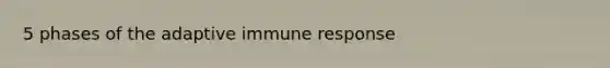 5 phases of the adaptive immune response