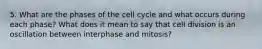 5. What are the phases of the cell cycle and what occurs during each phase? What does it mean to say that cell division is an oscillation between interphase and mitosis?