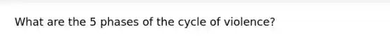 What are the 5 phases of the cycle of violence?