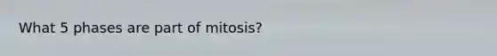 What 5 phases are part of mitosis?