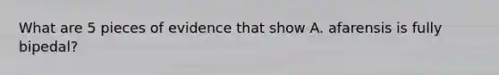 What are 5 pieces of evidence that show A. afarensis is fully bipedal?