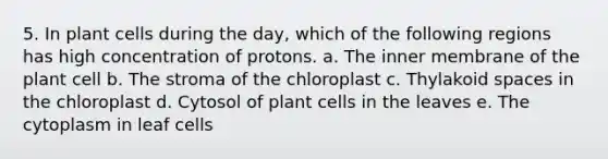 5. In plant cells during the day, which of the following regions has high concentration of protons. a. The inner membrane of the plant cell b. The stroma of the chloroplast c. Thylakoid spaces in the chloroplast d. Cytosol of plant cells in the leaves e. The cytoplasm in leaf cells