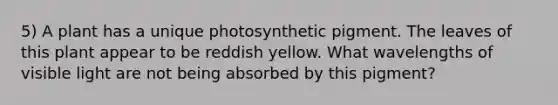 5) A plant has a unique photosynthetic pigment. The leaves of this plant appear to be reddish yellow. What wavelengths of visible light are not being absorbed by this pigment?