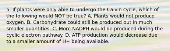 5. If plants were only able to undergo the Calvin cycle, which of the following would NOT be true? A. Plants would not produce oxygen. B. Carbohydrate could still be produced but in much smaller quantities. C. More NADPH would be produced during the cyclic electron pathway. D. ATP production would decrease due to a smaller amount of H+ being available.