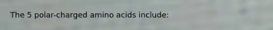 The 5 polar-charged amino acids include: