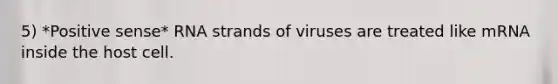 5) *Positive sense* RNA strands of viruses are treated like mRNA inside the host cell.