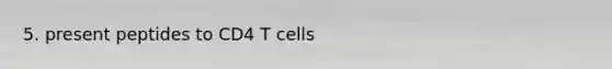 5. present peptides to CD4 T cells