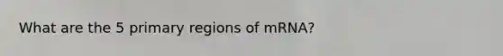 What are the 5 primary regions of mRNA?