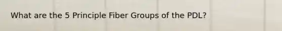 What are the 5 Principle Fiber Groups of the PDL?