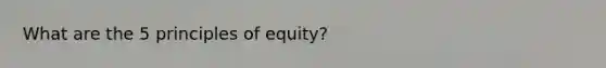 What are the 5 principles of equity?