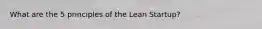 What are the 5 principles of the Lean Startup?