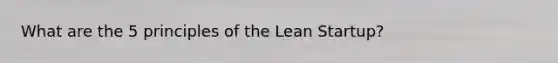 What are the 5 principles of the Lean Startup?