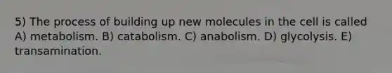 5) The process of building up new molecules in the cell is called A) metabolism. B) catabolism. C) anabolism. D) glycolysis. E) transamination.