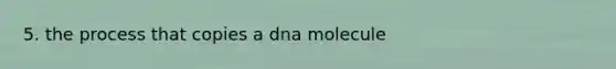 5. the process that copies a dna molecule