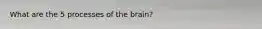 What are the 5 processes of the brain?