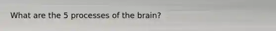 What are the 5 processes of the brain?