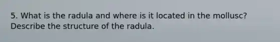 5. What is the radula and where is it located in the mollusc? Describe the structure of the radula.