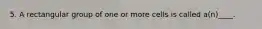 5. A rectangular group of one or more cells is called a(n)____.