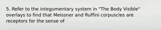 5. Refer to the integumentary system in "The Body Visible" overlays to find that Meissner and Ruffini corpuscles are receptors for the sense of