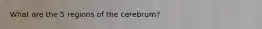 What are the 5 regions of the cerebrum?