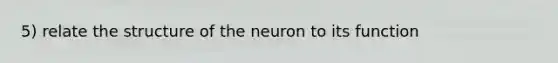 5) relate the structure of the neuron to its function