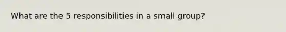 What are the 5 responsibilities in a small group?
