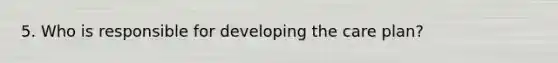 5. Who is responsible for developing the care plan?