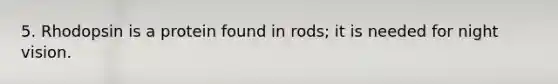 5. Rhodopsin is a protein found in rods; it is needed for night vision.