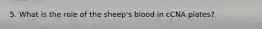 5. What is the role of the sheep's blood in cCNA plates?