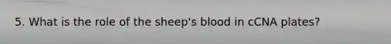 5. What is the role of the sheep's blood in cCNA plates?