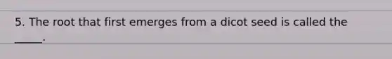 5. The root that first emerges from a dicot seed is called the _____.