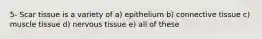 5- Scar tissue is a variety of a) epithelium b) connective tissue c) muscle tissue d) nervous tissue e) all of these