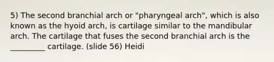 5) The second branchial arch or "pharyngeal arch", which is also known as the hyoid arch, is cartilage similar to the mandibular arch. The cartilage that fuses the second branchial arch is the _________ cartilage. (slide 56) Heidi