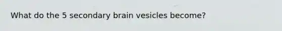 What do the 5 secondary brain vesicles become?